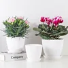 Flower Pot Round Planters Succulents Plant Pot with Tray Office Desktop Balcony Home Garden Decoration Outdoor Potted 5 Sizes 2