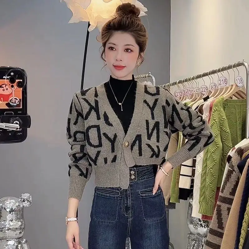Cardigan Sweater Variation 4