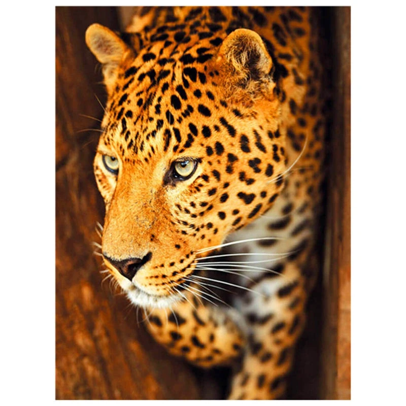 

Полностью круглая Алмазная картина «сделай сам», большая фотокартина с животными, семейный Декор