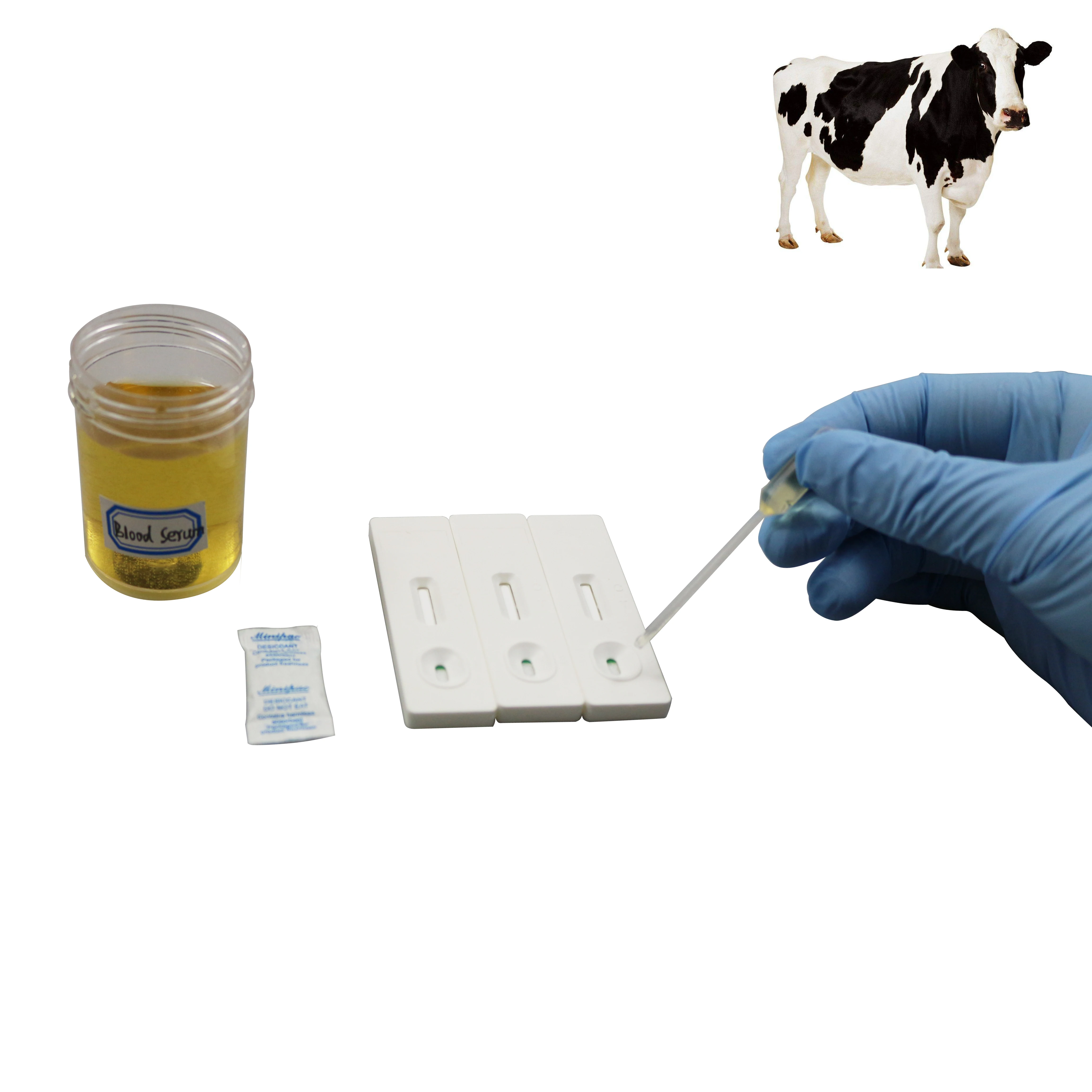 CuteAnli-40-Pcs-Pregnant-Tester-Cow-Pregnancy-Test-Paper-Pigs-Pregnancy ...
