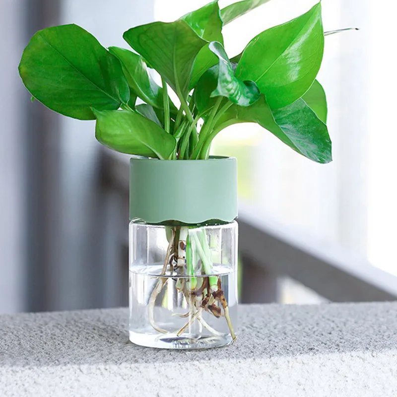 Small Hydroponic Green Plant Vase Home Vase Decor Transparent Imitation Glass Soilless Plant Pots Pot for Home Decoration 5