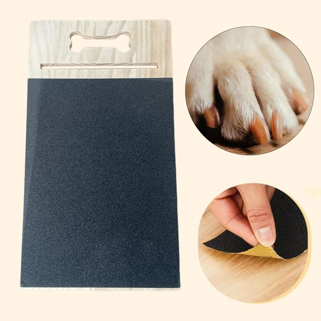 Can You Use Human Nail File On Dogs