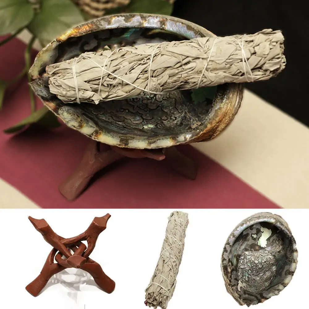 Natural Abalone Shell with Wooden Tripod Stand For Sage Smudging