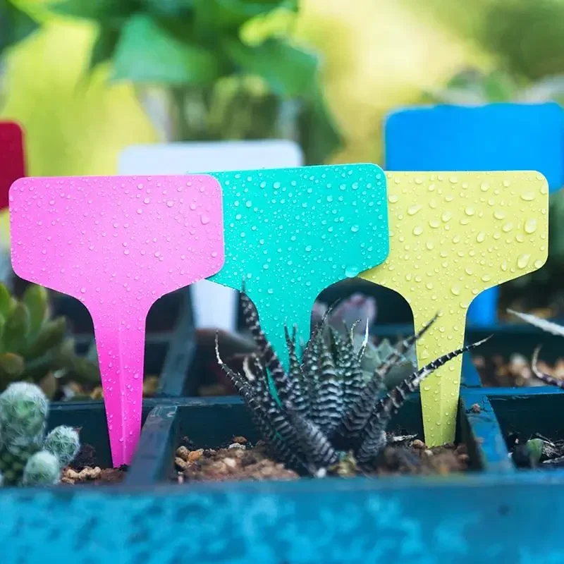 T-Shape Plastic Plant Markers 50/100Pcs with Pen
