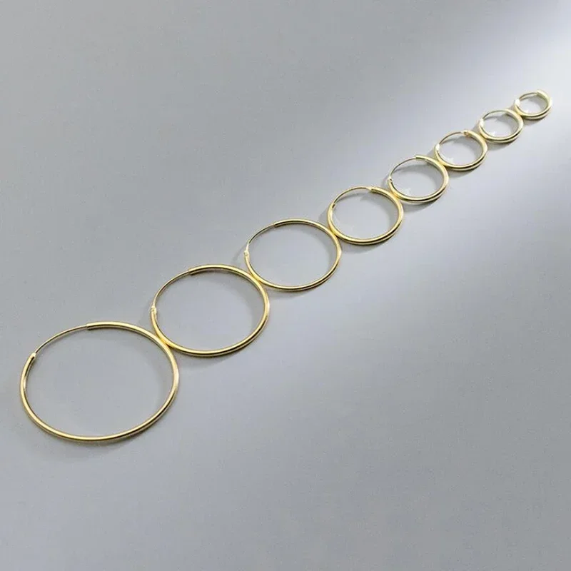 SOFTPIG Real 925 Sterling Silver 1.2/1.5mm Wire Diameter Large Hoop Earrings for Women Trendy Fine Jewelry Geometric Accessories 3