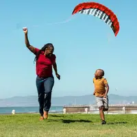 Stunt Kites For Adults 98inch Surfing Beach Flying Kite Outdoor Sports Fun Foldable Parachute Large Kitesurfing Training Kites 2