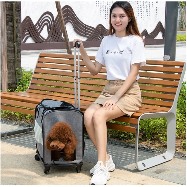 Folding Detachable Bag Portable Cart Stroller