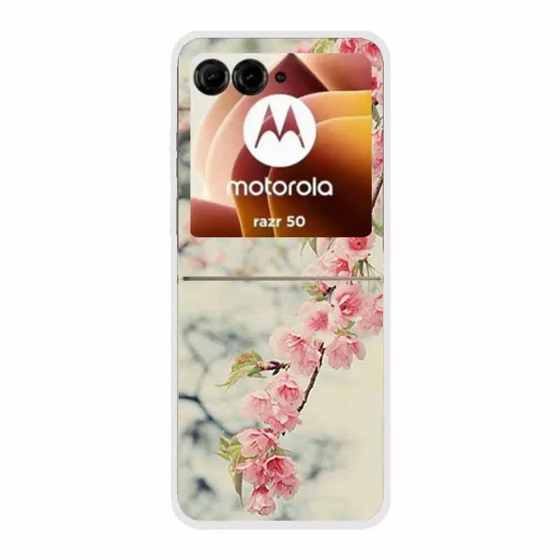 Cartoon Design Transparent Hard Plastic Back Cover Case