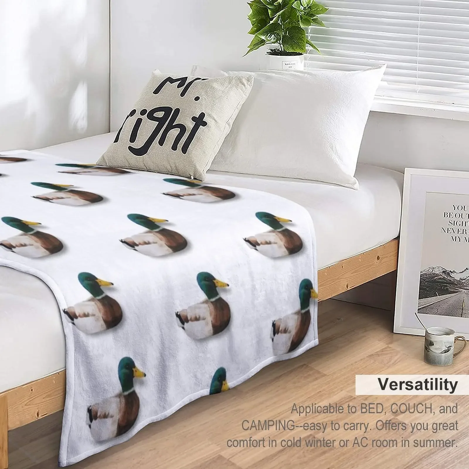 û�տ��� ���� ������ ���, ���Ŀ� ���� ����, �ε巯�� ���� ���, �� ū ���� ħ��