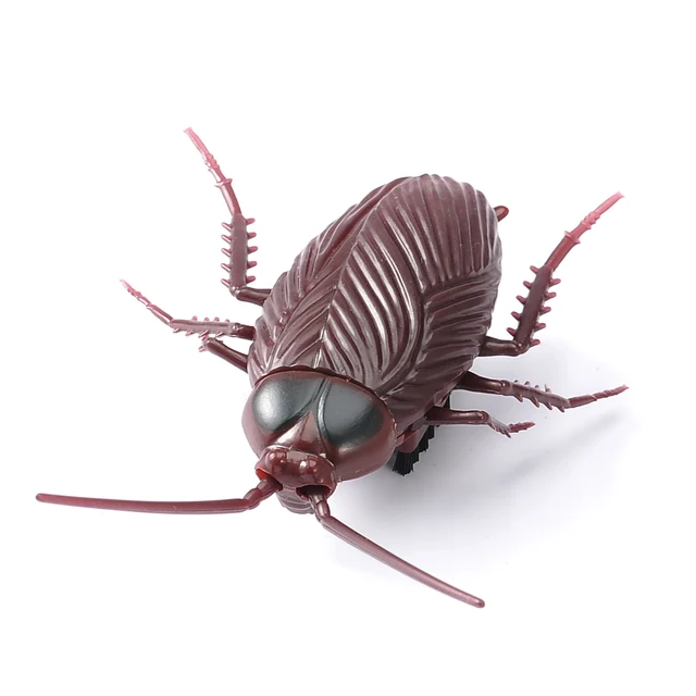 Electric Crawling Cockroach Simulation Vibrate Roach Animal Kids Children Small Toy for Kids Children Gifts 4