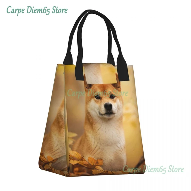 Dog Food Bag Tote Pattern