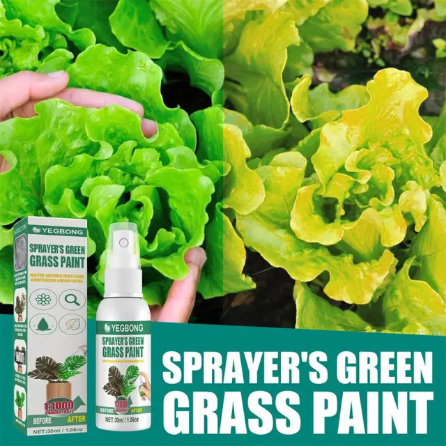 Növényi Levél Ragyogása 30 Ml Elősegíti A Növekedés Por Eltávolítását. Javítják Sárga Leveleket Virágzási Periódus Rövidítésére Gyeppermet Egészséges - Image 2