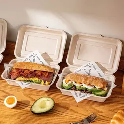 Eco - Friendly Packaging Box Set - Ideal for Sandwiches, Burgers, Pastries, and More (20 Pieces)