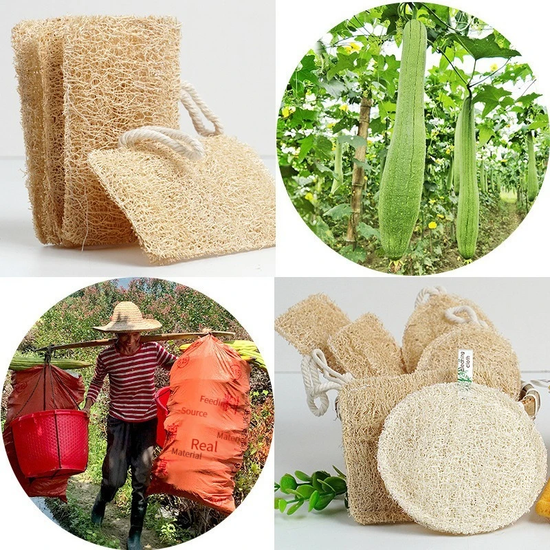 Natural Loofah Exfoliating Body Sponge (6 Pack Half Size Loofah with  Strap),Made with Eco-Friendly and Biodegradable Shower Luffa Sponge