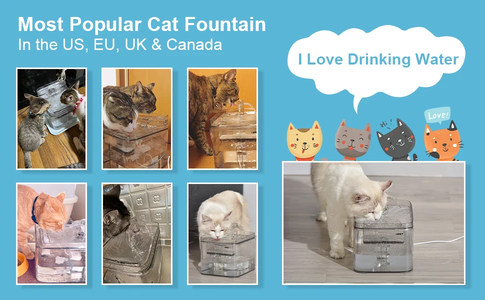 cat water fountain