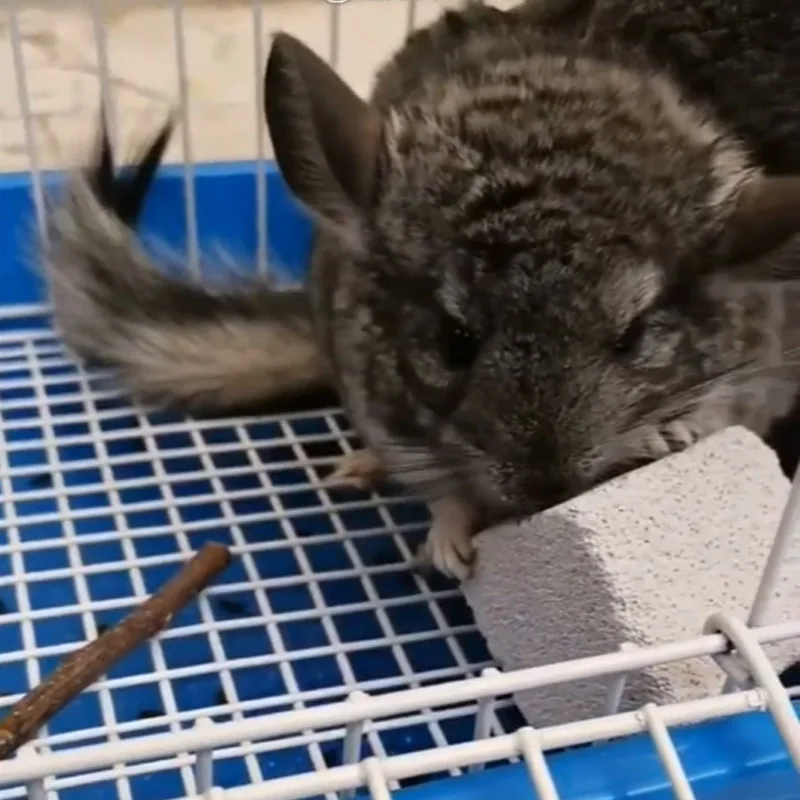 Natural Mineral Molar Stone 6