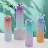 700ml High Temperature Resistant Plastic Sports Cup Rainbow Frosted Progressive Color Water Bottle with Graduated Straw YDSH01 3