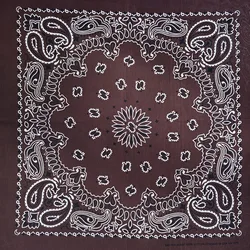 Trendy Cotton Paisley Bandana Scarf - Black & Red (Coffee)