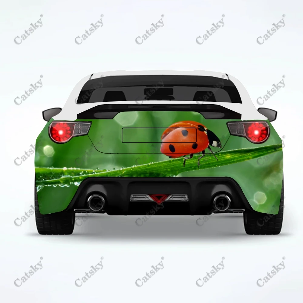 

Наклейка на заднюю панель автомобиля «божья коровка»