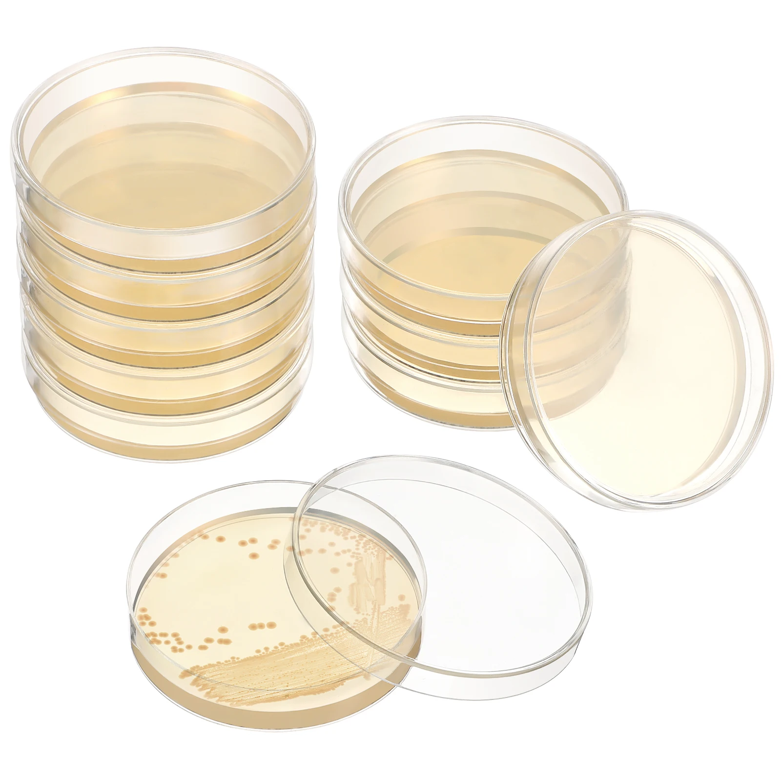 20 Pcs Cell Culture Plate Science Lab Equipment Party Decorations Experiments Agar Plates Mycology Prepoured