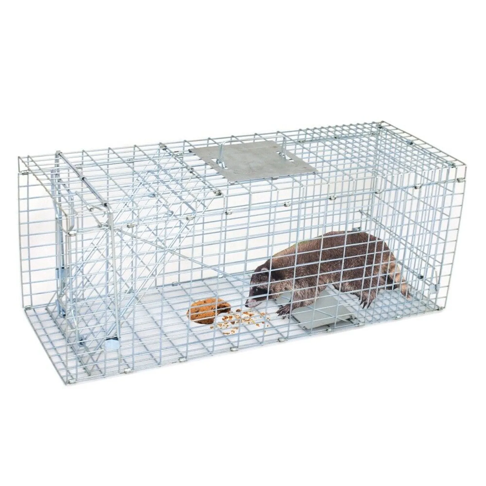 Live Animal Cage Trap Heavy Duty Folding Raccoon Humane Cat Trap Rabbit mouse trap US 32"