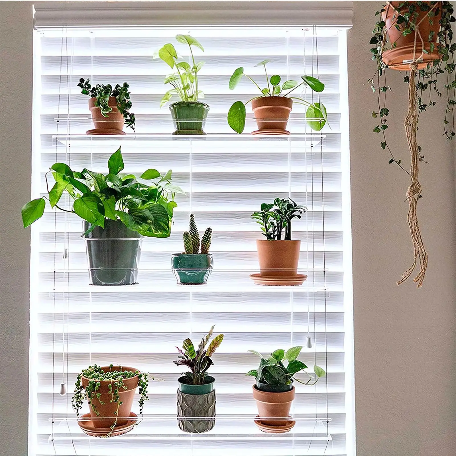 Multi Layer Plant Shelf Hanging Transparent Commodity Bracket Elegant Plant Stand Acrylic Shelves For Plant Pots Flower Window