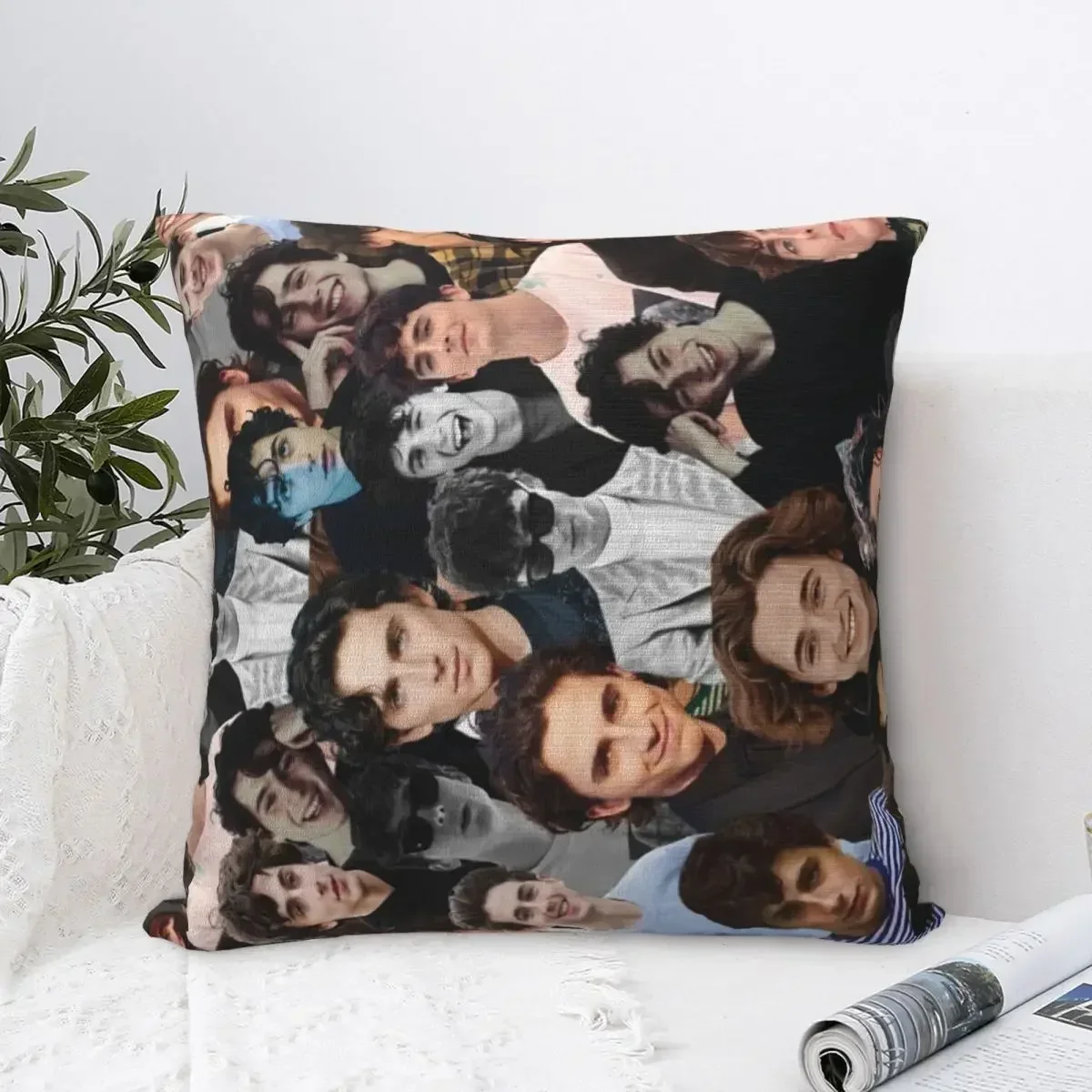 Timothee Chalamet photo collage Throw Pillow Cushions For Sofa Luxury Sofa Cushions pillow covers decorative 4