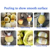 50W Electric Stainless Steel Fruit Peeler Peeling Machine For Apple Pear Orange Lemon 3