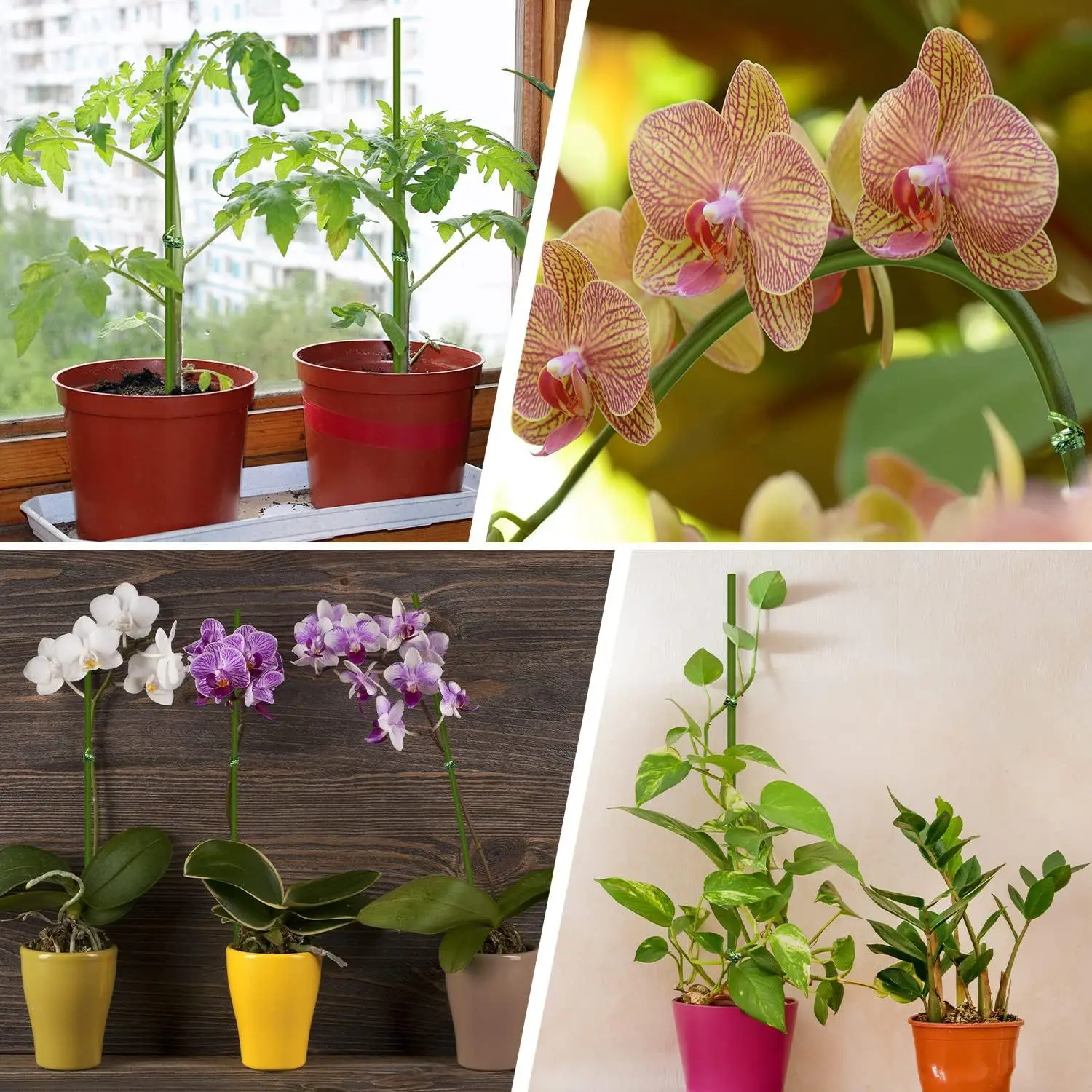 40cm Plant Stakes Garden Green Bendable Single Stem Plant Support Stakes Indoor and Outdoor Plants Floral Support