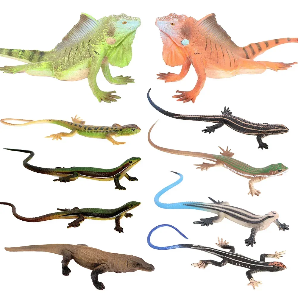 Safe Simulation Lizard Ornament Reptile Iguana Animal Model Decoration Children's Animal Enthusiast Education Gift