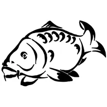 

Marine Animal Fish Funny Window Decorative Decals Car Styling Fashion Stickers 18.5*11.7CM