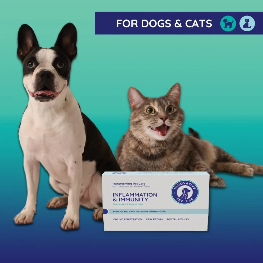 Inflammation and Immunity at-Home Test Kit Gut Health Evaluation and Expert Panel Insights Ideal for Dogs Cats Pet Essential
