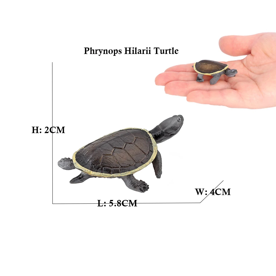 Turtle and Tortoise Action Figure Playset - Sea and Marine Animal Toy Collection