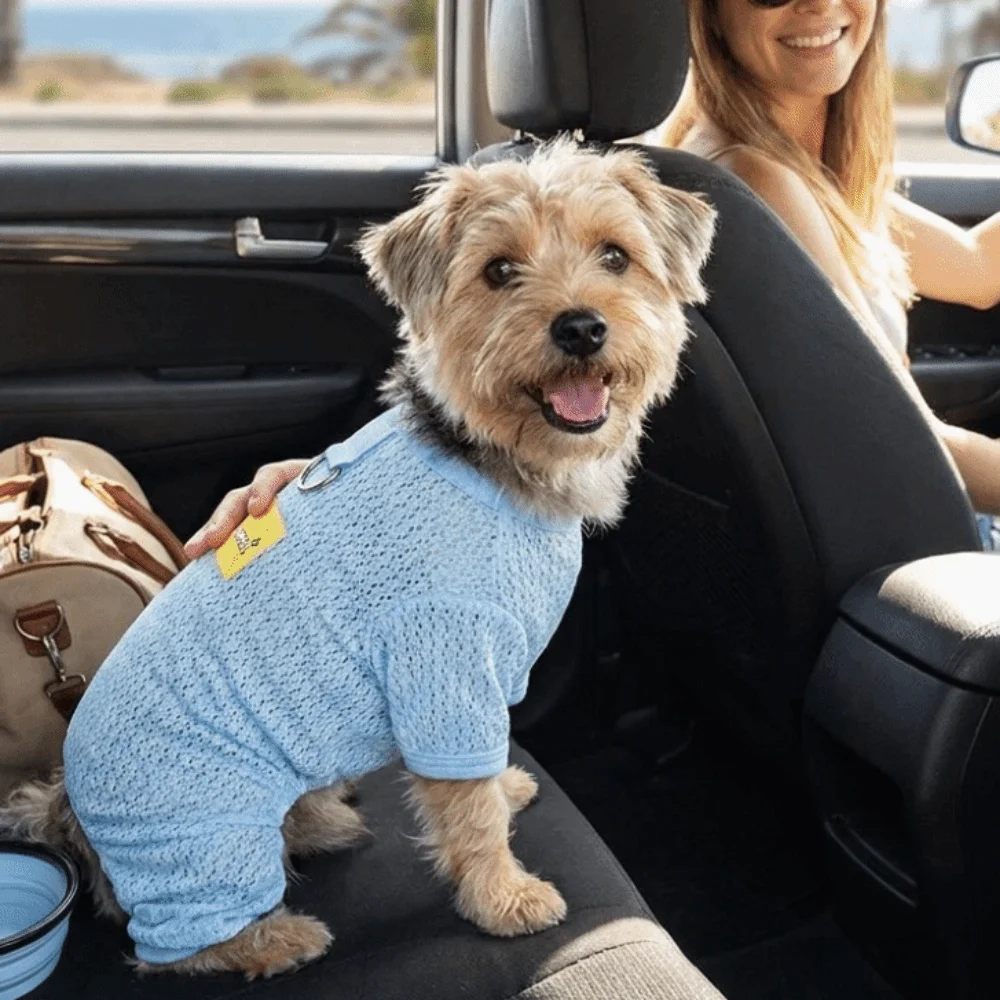 캐주얼 스타일 통기성 메쉬 강아지 햇빛 차단 옷 속건성 얇은 여름 애완견 옷 트랙션 쿨링 조끼 야외용