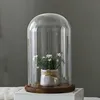 10*25cm Big Size Transparent Glass Dome Vase Home Decoration Antique Base Cover DIY Friend Birthday Gift Wedding Live Prop 1