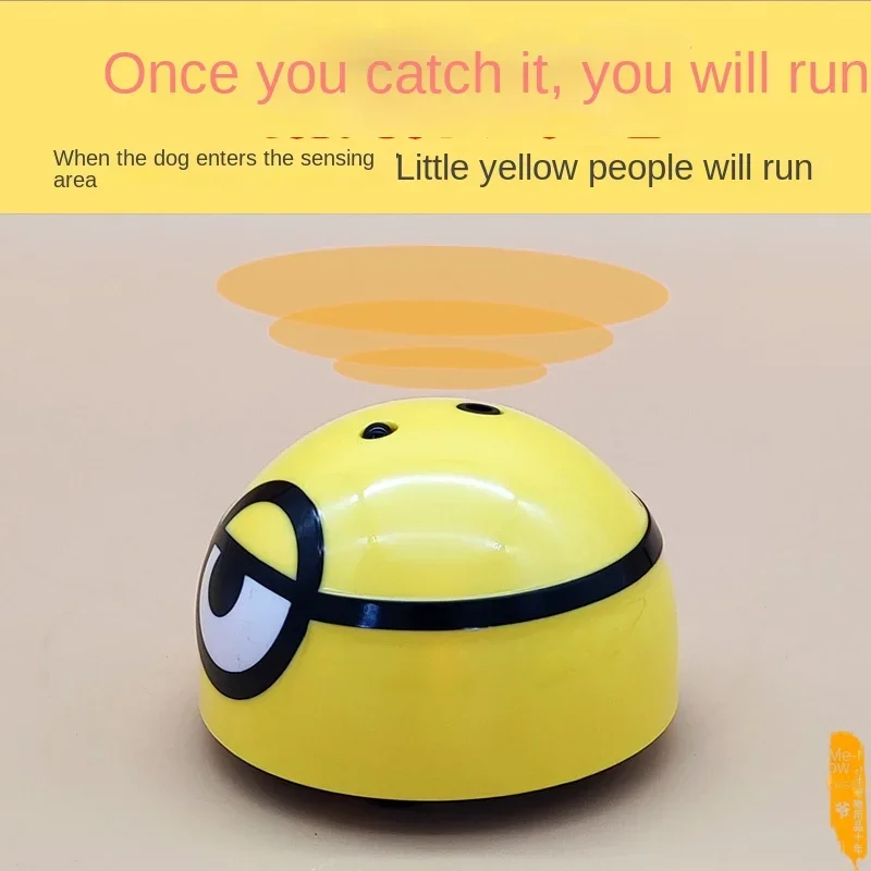 

Toys for teasing dogs, puzzle solving tools for puppies, vocalizations for small dogs, Teddy puzzle, energy consumption for cats