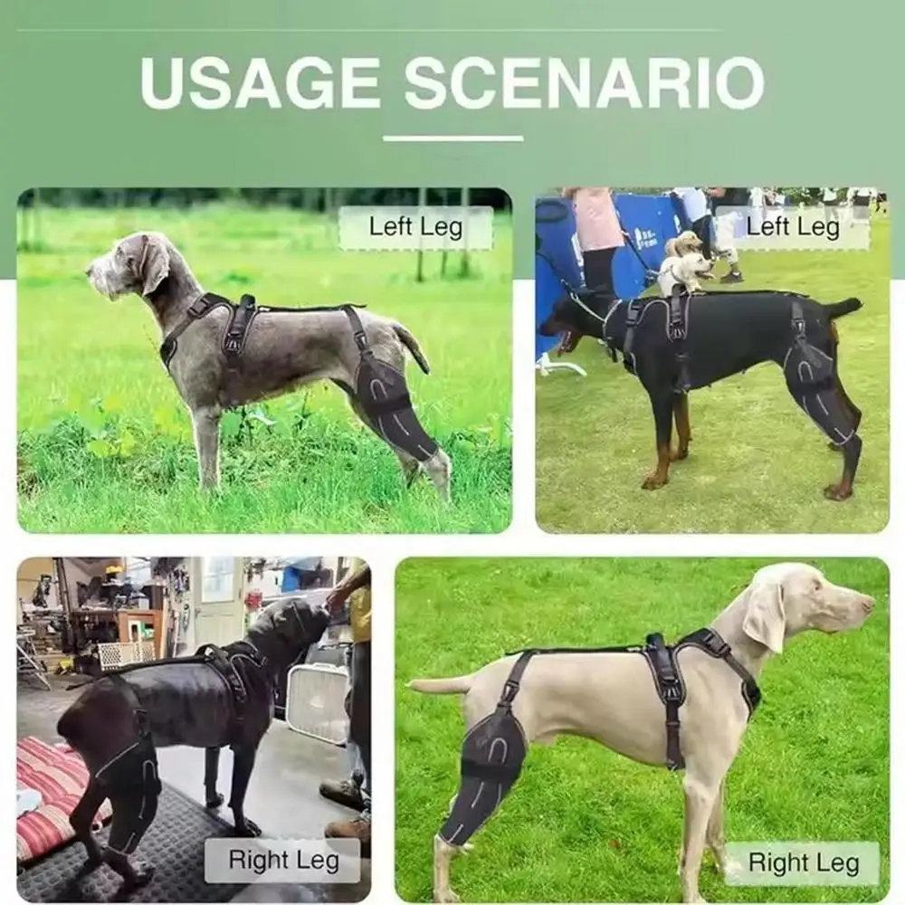 Knee Brace For Dogs Back Leg Adjustable Dogs Rear Leg Wrap Dogs Back Leg Wrap Canine Care CCL Support Brace For Medium And Large