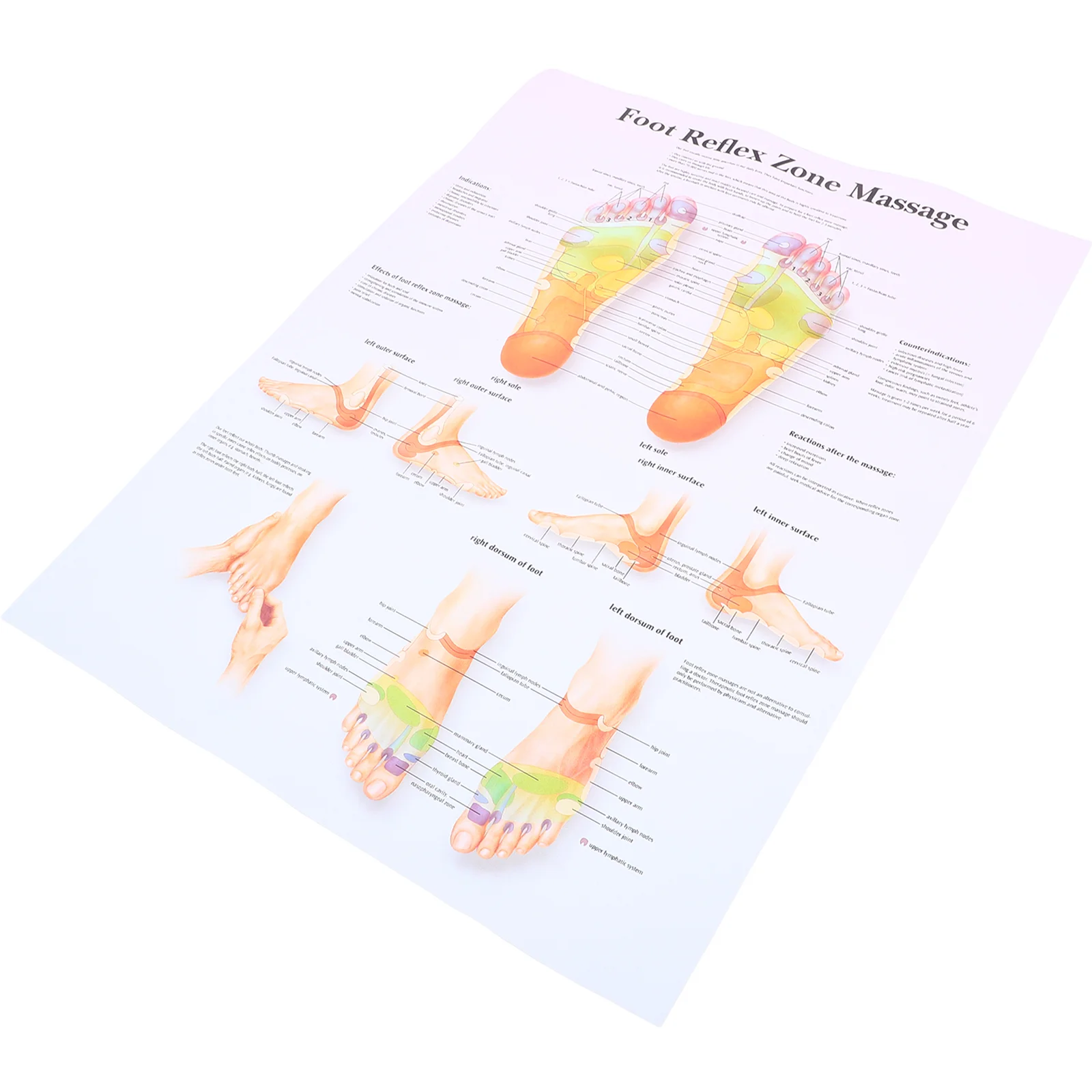 Foot Reflexology Poster Office Decor Posters Chart Massage Human Body Wall Home