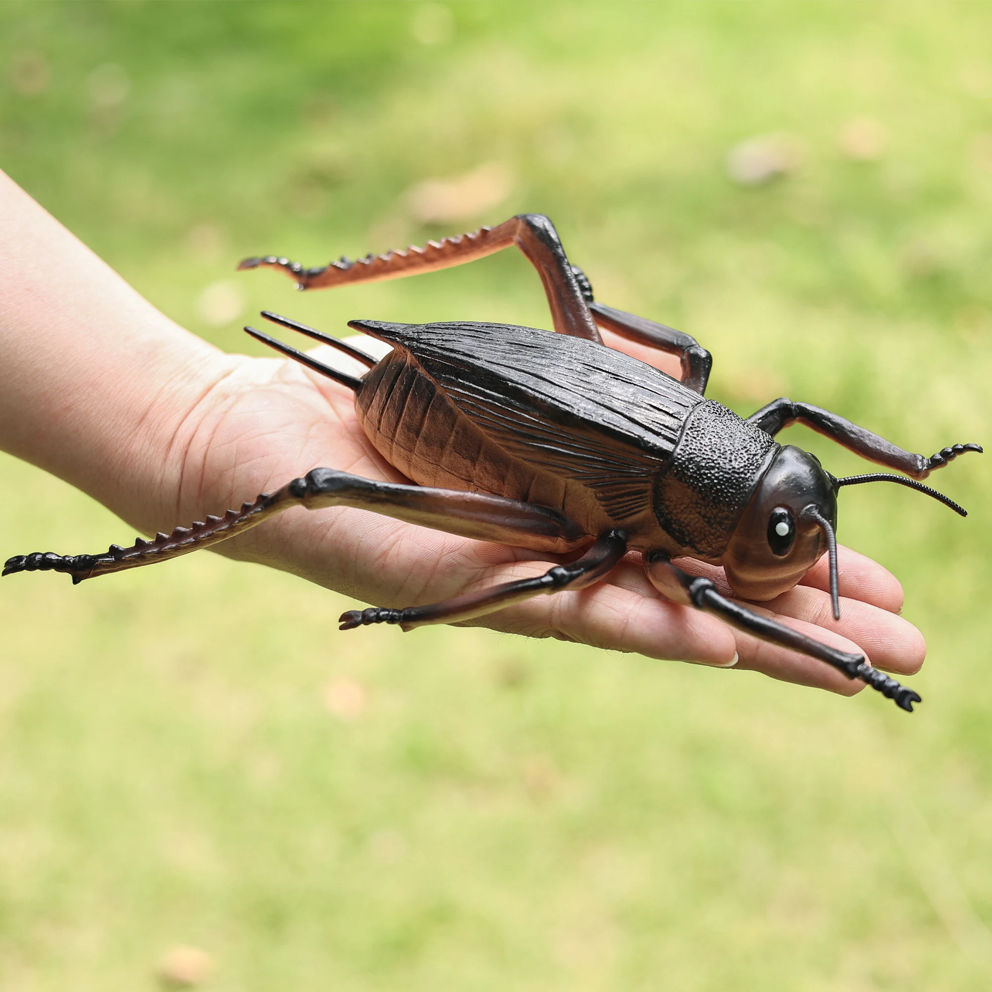 Large Insect Animal Figurines Set - Spider, Scorpion, Ladybug, Dragonfly, Beetle - Educational and Halloween Toy