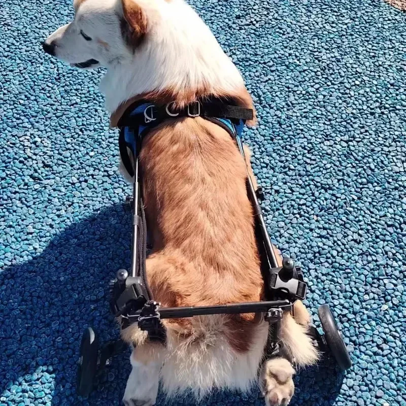 Pet Trolley Adjustable Hind Leg Disabled Pet Dog Mobility Aid Light Rehabilitation Legs Wheelchair Walk Trolley Tools