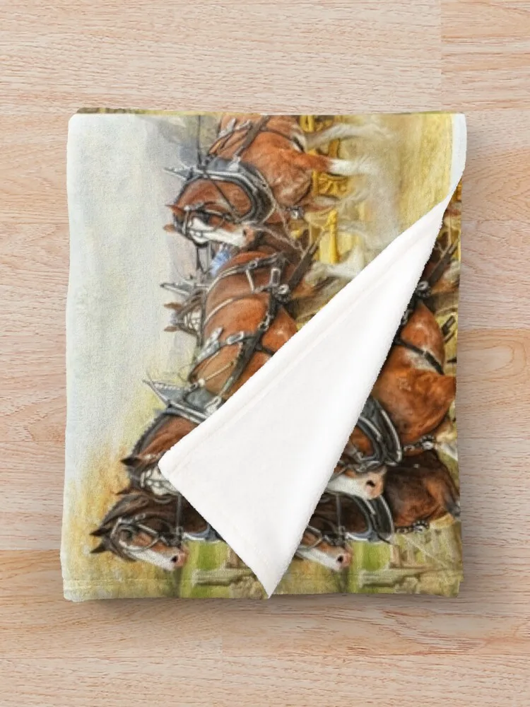 Clydesdales �ϳ׽� ������ ���, ǫ���ϰ� ǫ���� �� ��� �� ���, ���Ÿ� �β��� ���