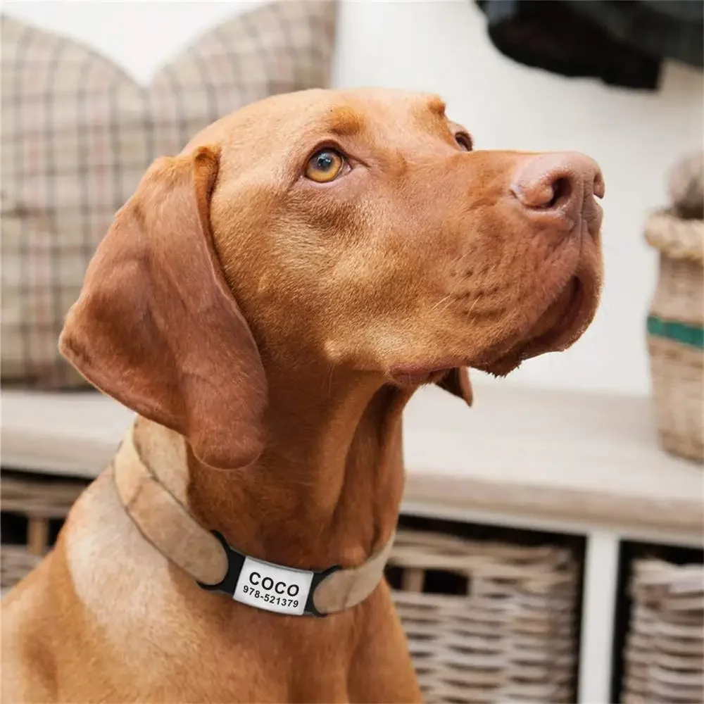 Pet ID Tags Dog Collar Tags Pet ID Medal Pendant Personalized Stainless Steel Nameplate Collar Accessories Customized Silicone for Dog Cat Collars