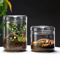Glass Bottles Creativity Dew Collection Glass Vase Micro Landscape Succulent Moss Landscape Glass Terrarium Home Decor 2