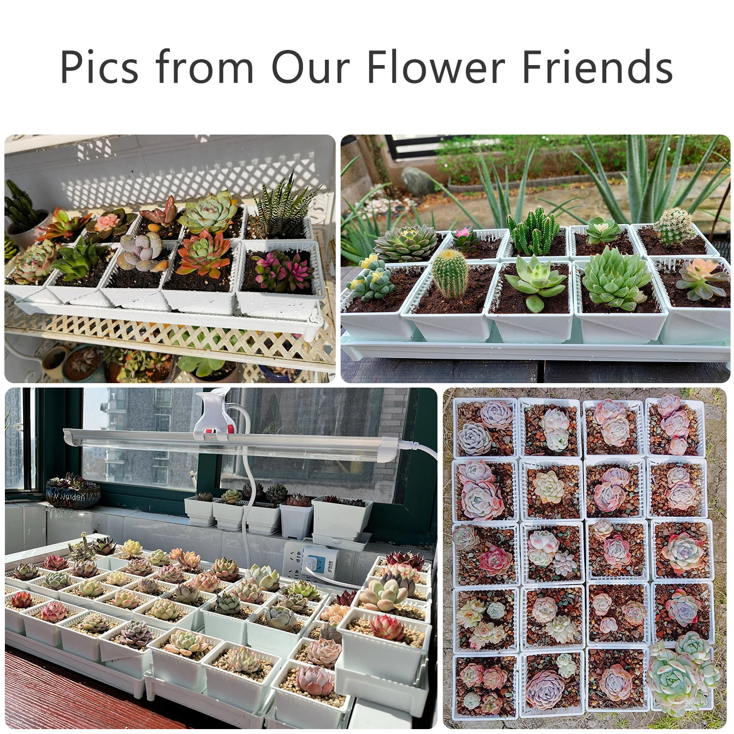 Slide image ed2a6acae05d4a6f9bc374248862aec6