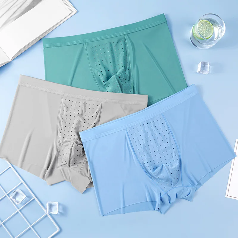 

Ice Silk Mesh Holes Men Underwear Seamless Nylon Boxer Shorts Ultra-thin Elastic Man Sexy Underpants Summer Panties Calzoncillos
