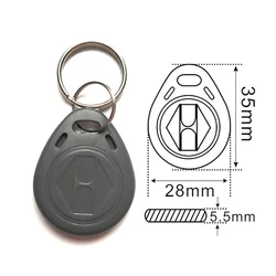 10 - Pack Rewritable RFID Tag Keyfobs - Proximity ID Tokens (Grey)