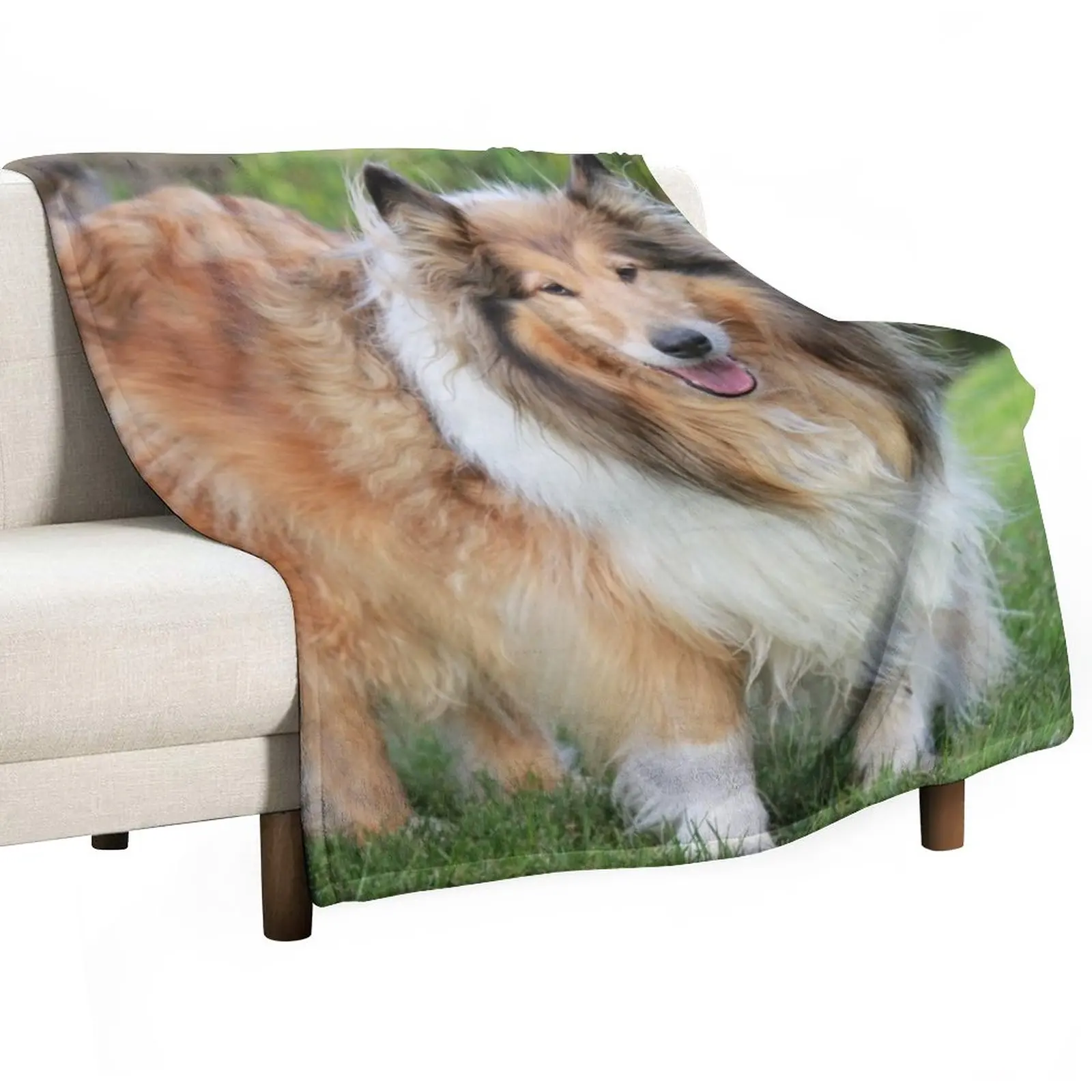 

Sable Rough Collie Throw Blanket Thin Blankets Cute Blanket bed plaid