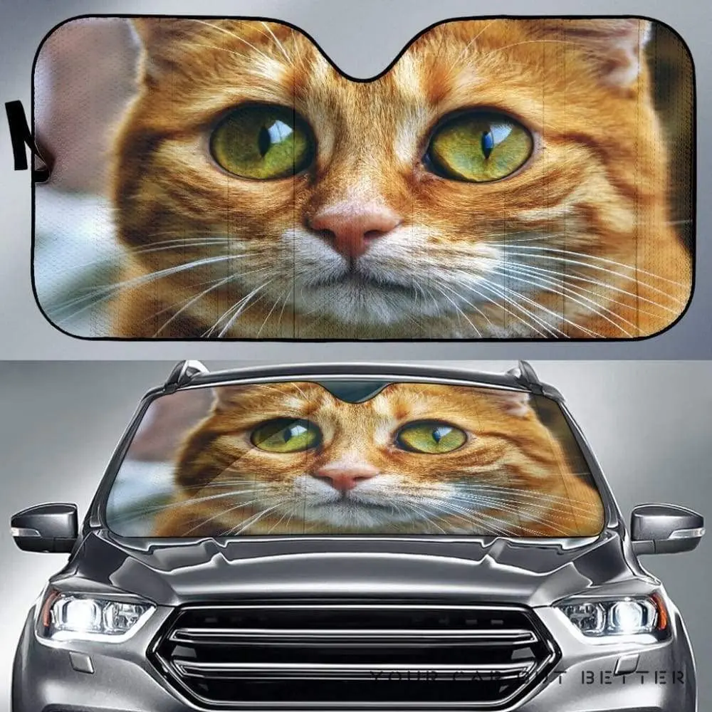 

Orange Tabby Cat Image Print Cat Lover Car Sunshade, Cute Orange Tabby Cat Image Adorable Kitten Auto Sun Shade, Windshield Viso