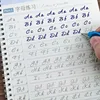 New Cursive Writing English Pen Chinese Calligraphy copybook for Adult Children Exercises Calligraphy Practice Book libros 2