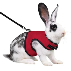 Colorful Breathable Vest Pet Carrier Bag with Adjustable Soft Harness and Elastic Leash Set - M (Scarlet)
